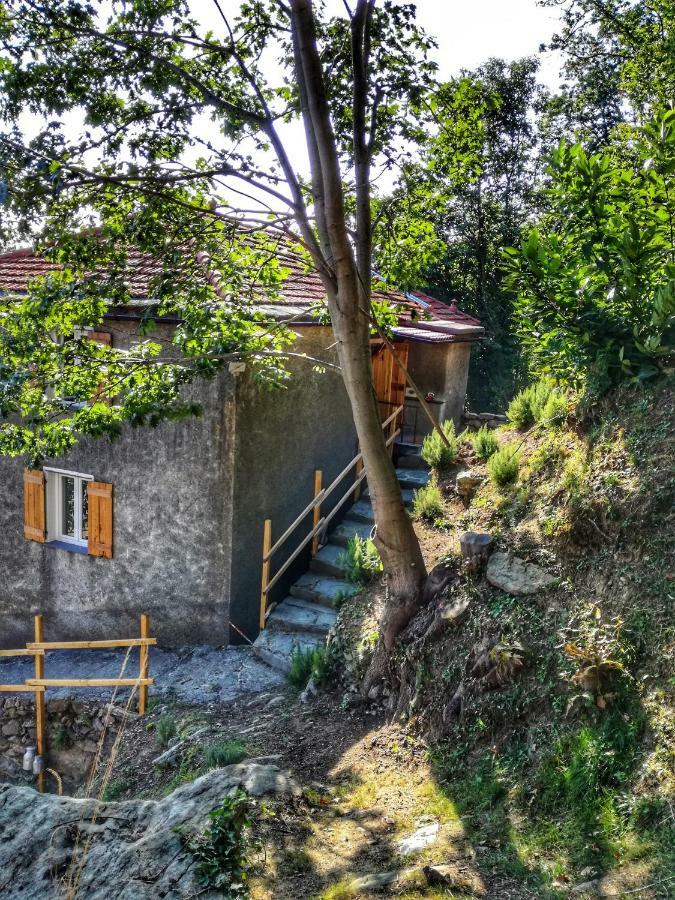 Berzuaia Bed & Breakfast 瓦拉泽 外观 照片